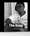 The Dogg